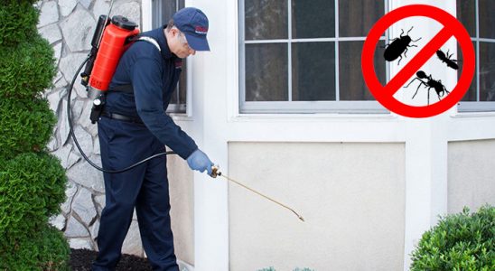 Şereflikoçhisar Hamam Böceği İlaçlama böcek ilaçlama ve haşere kontrolü — ilaclama-tr.com